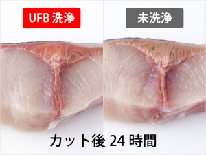 養殖ハマチの血合の経時変化比較
